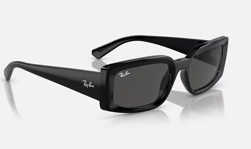 Ray Ban Solar acetado preto brilhante RB446L 667771